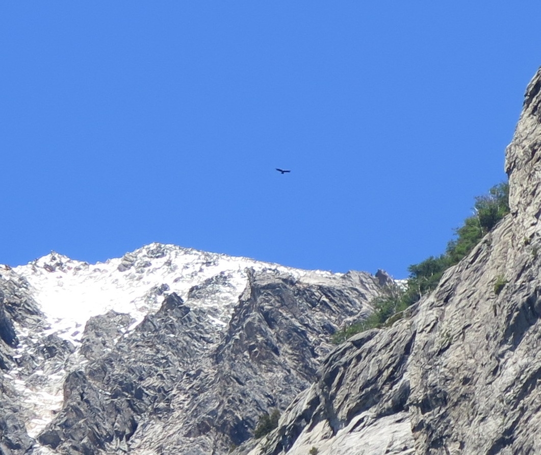 IMG_8391b.JPG