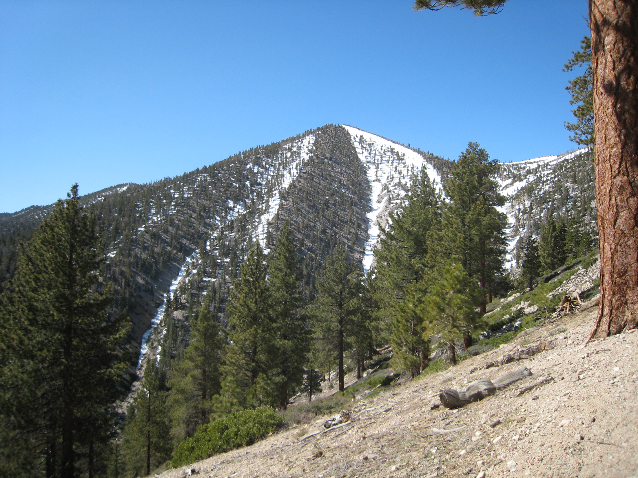 IMG_9249.JPG