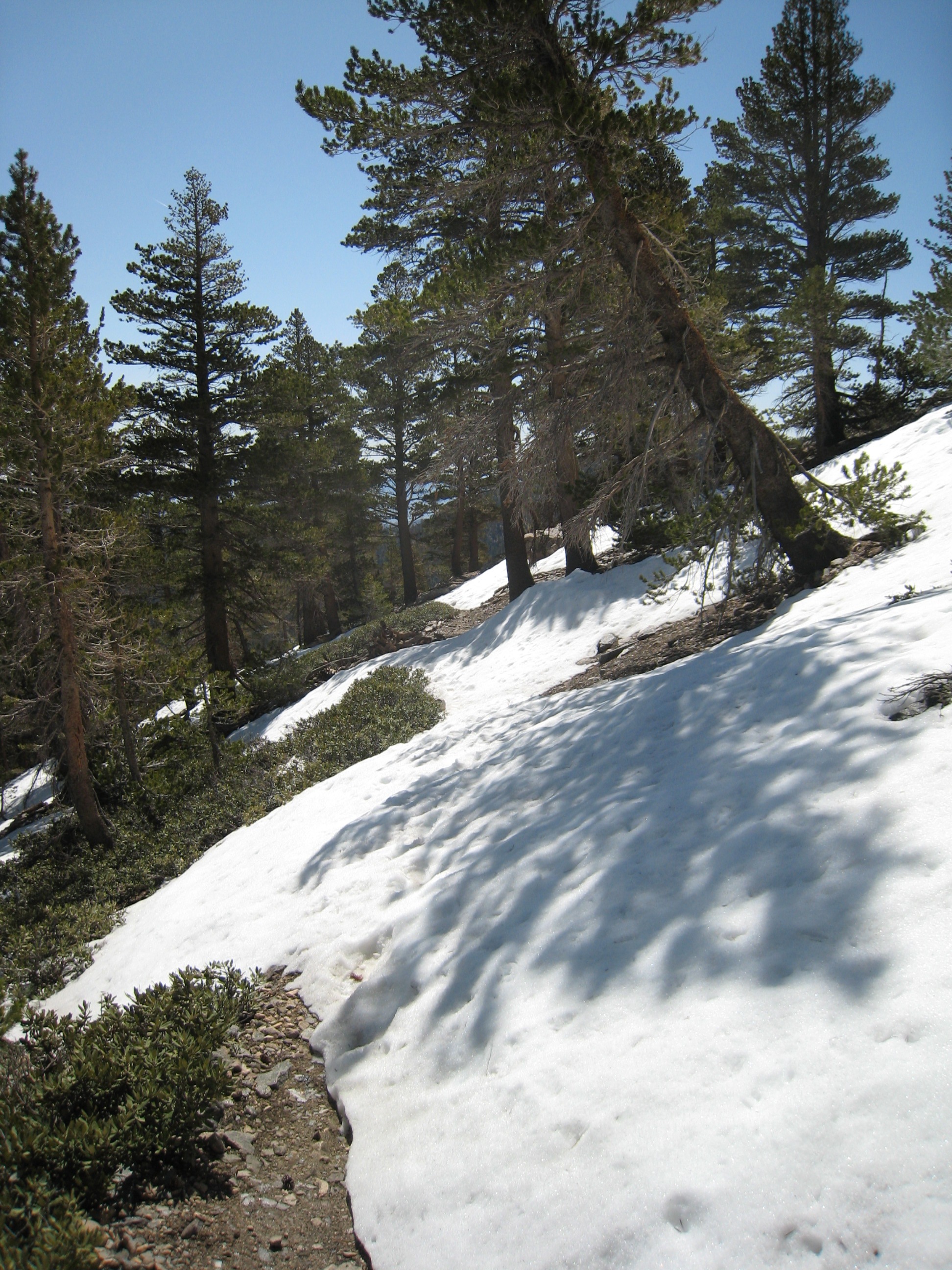 IMG_9250.JPG