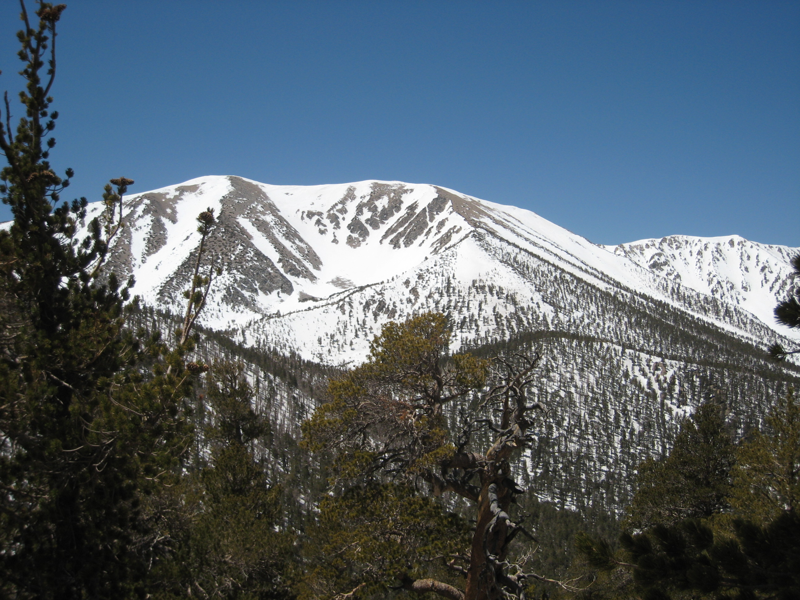 IMG_9262.JPG