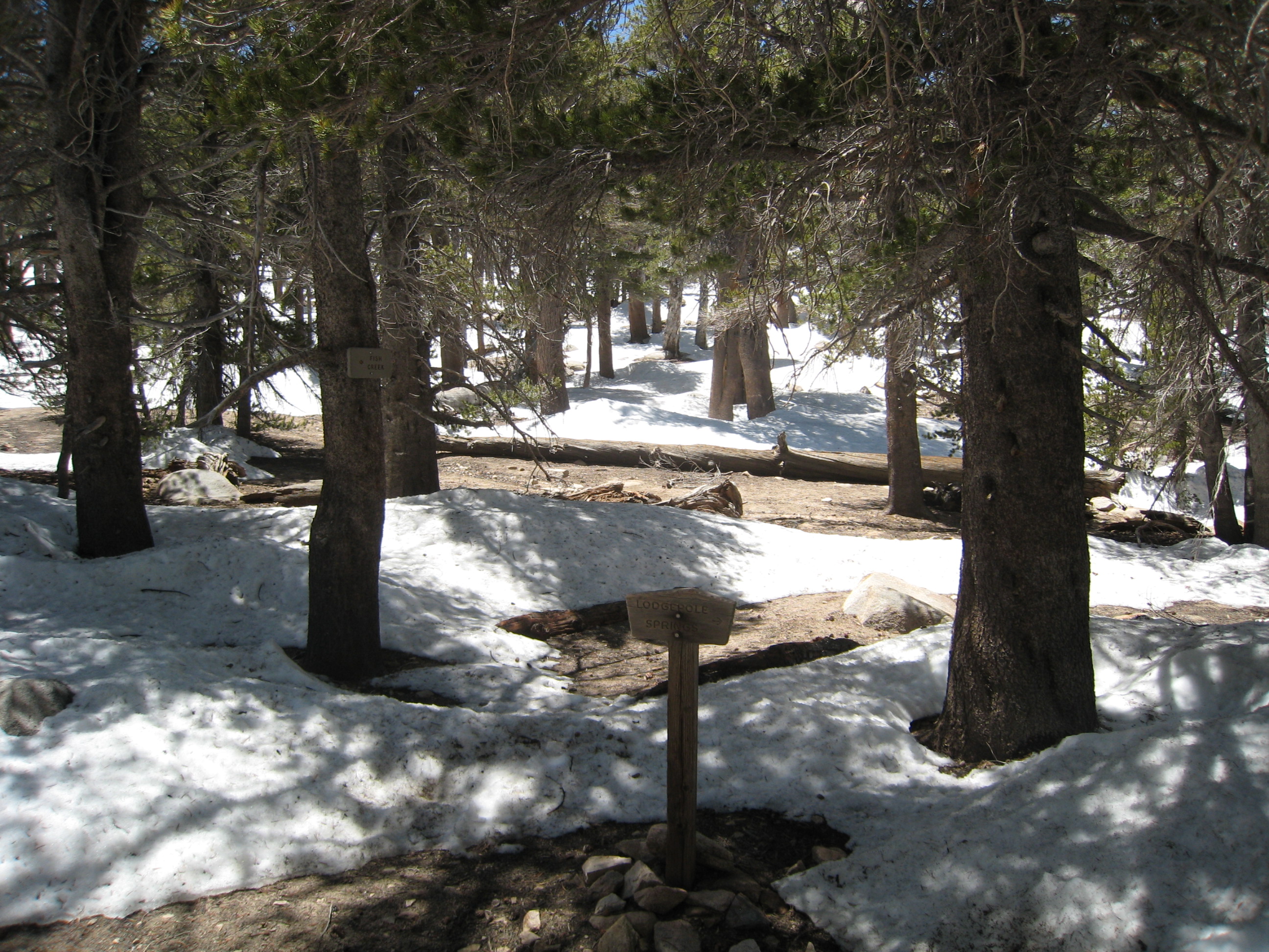 IMG_9263.JPG
