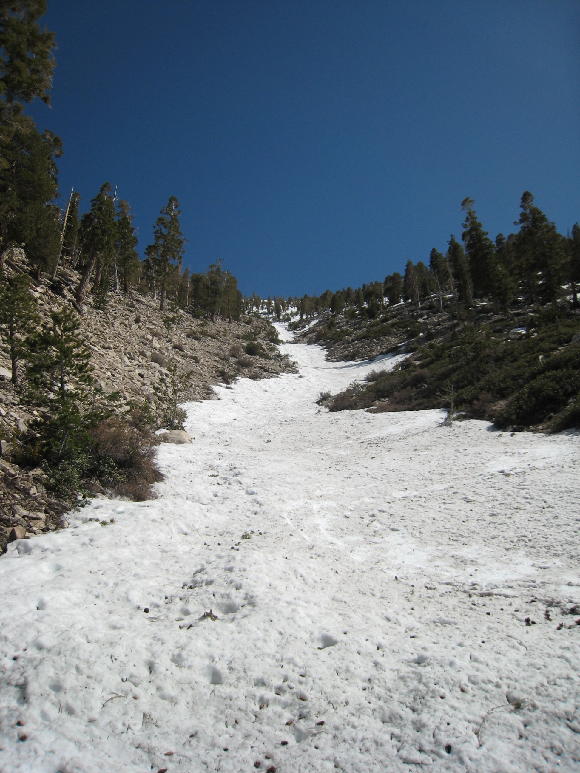 IMG_9293.JPG