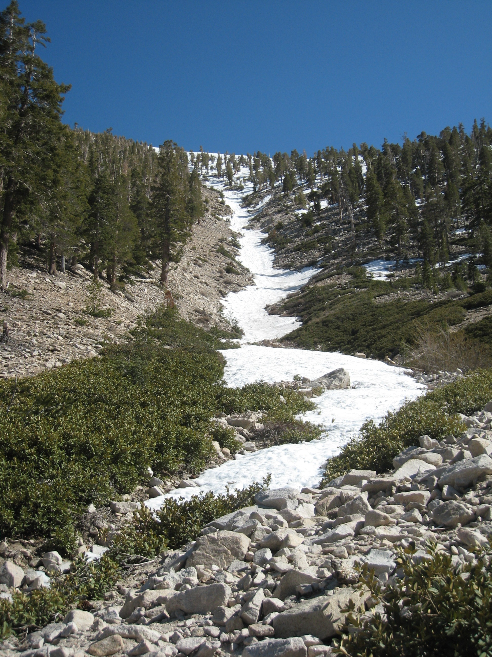 IMG_9295.JPG