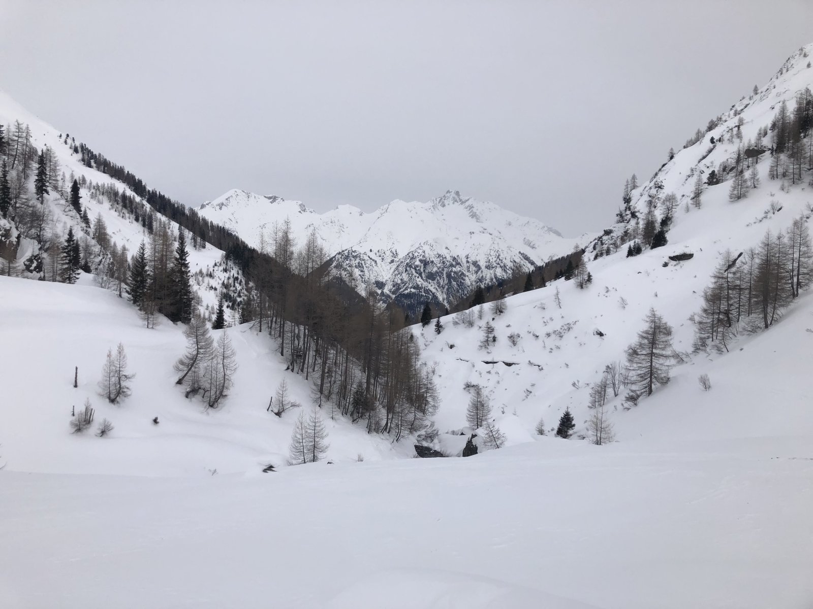 IMG_9394.jpeg
