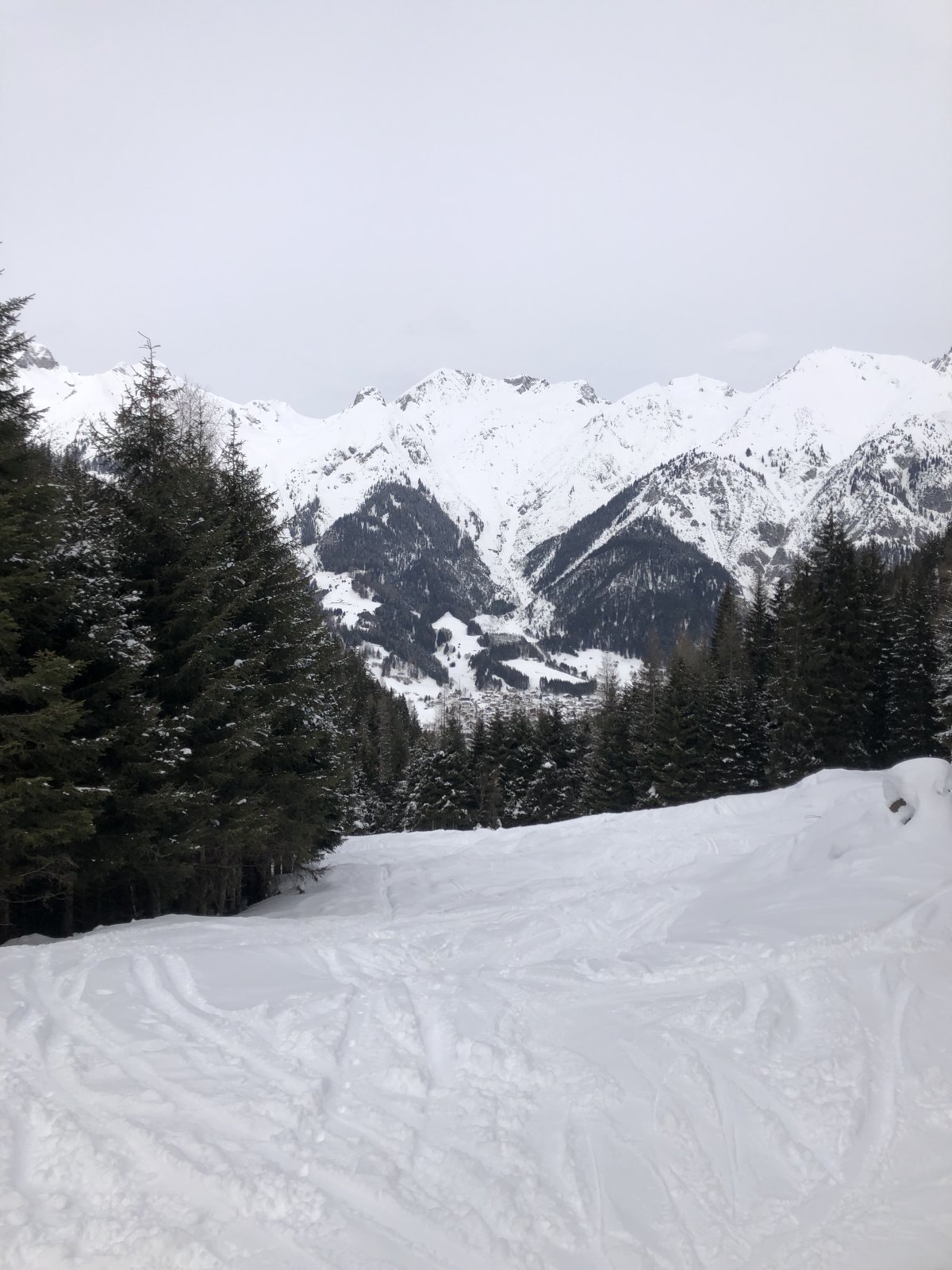 IMG_9399.jpeg