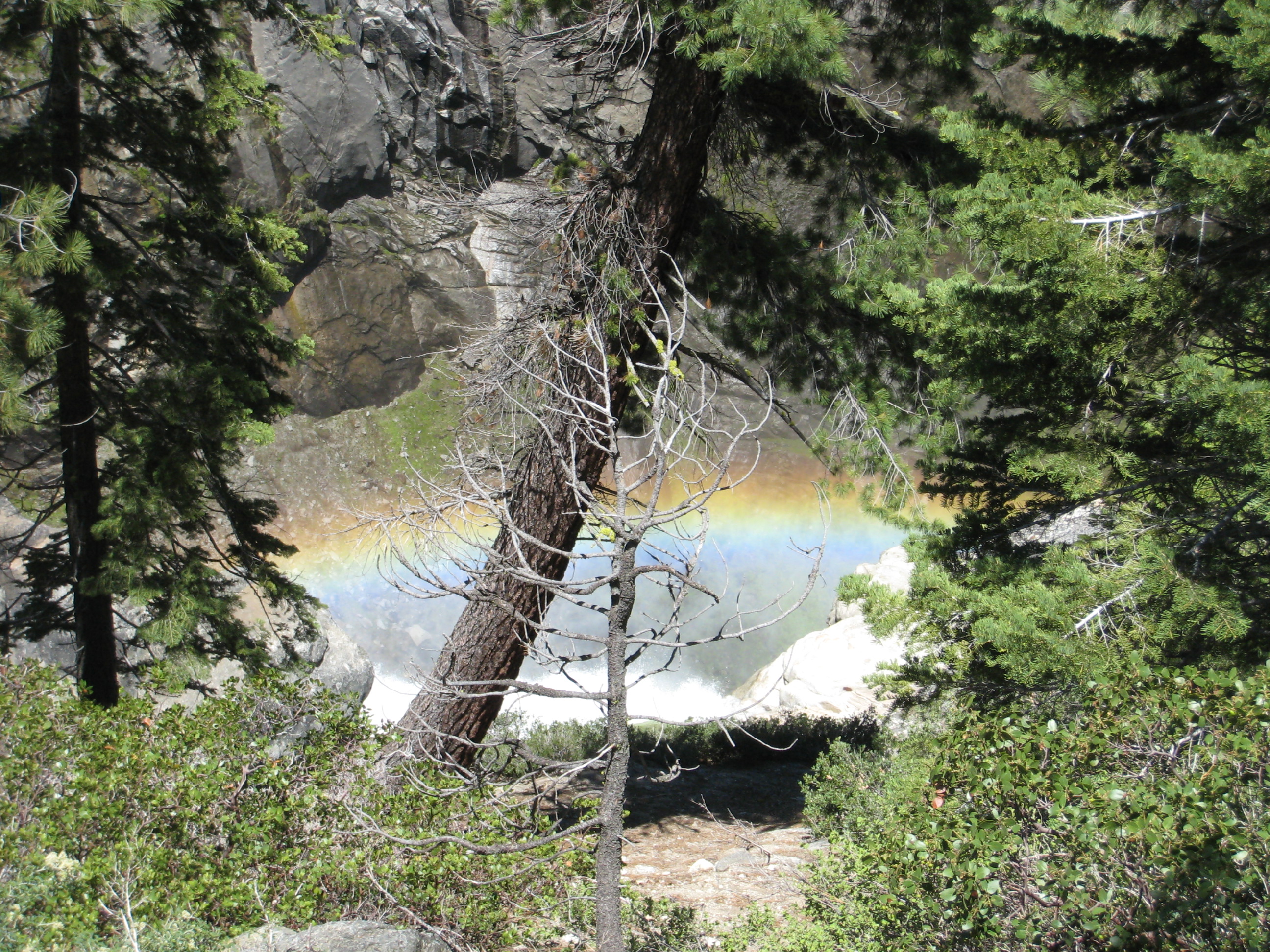 IMG_9467.JPG