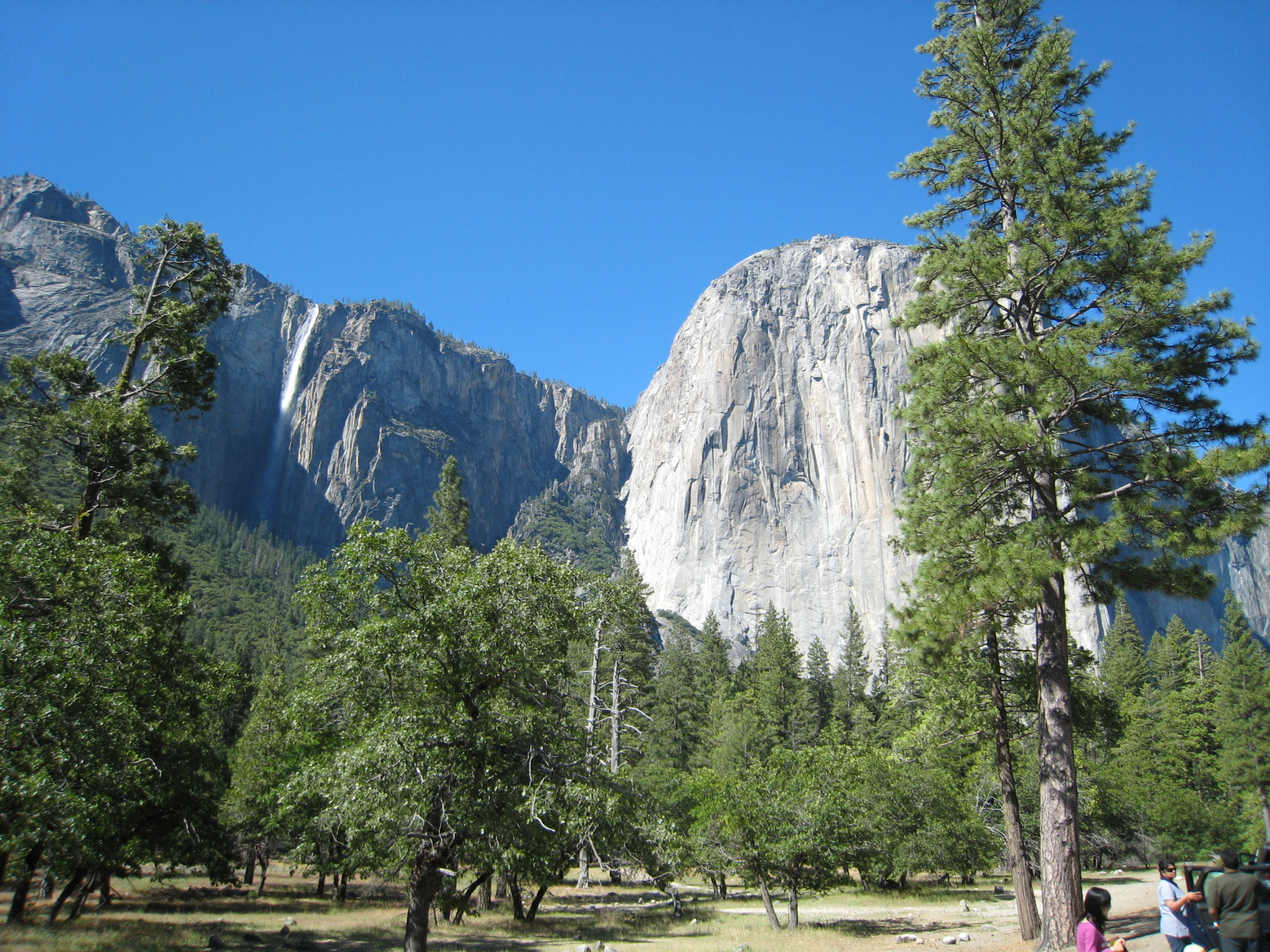 IMG_9514.JPG