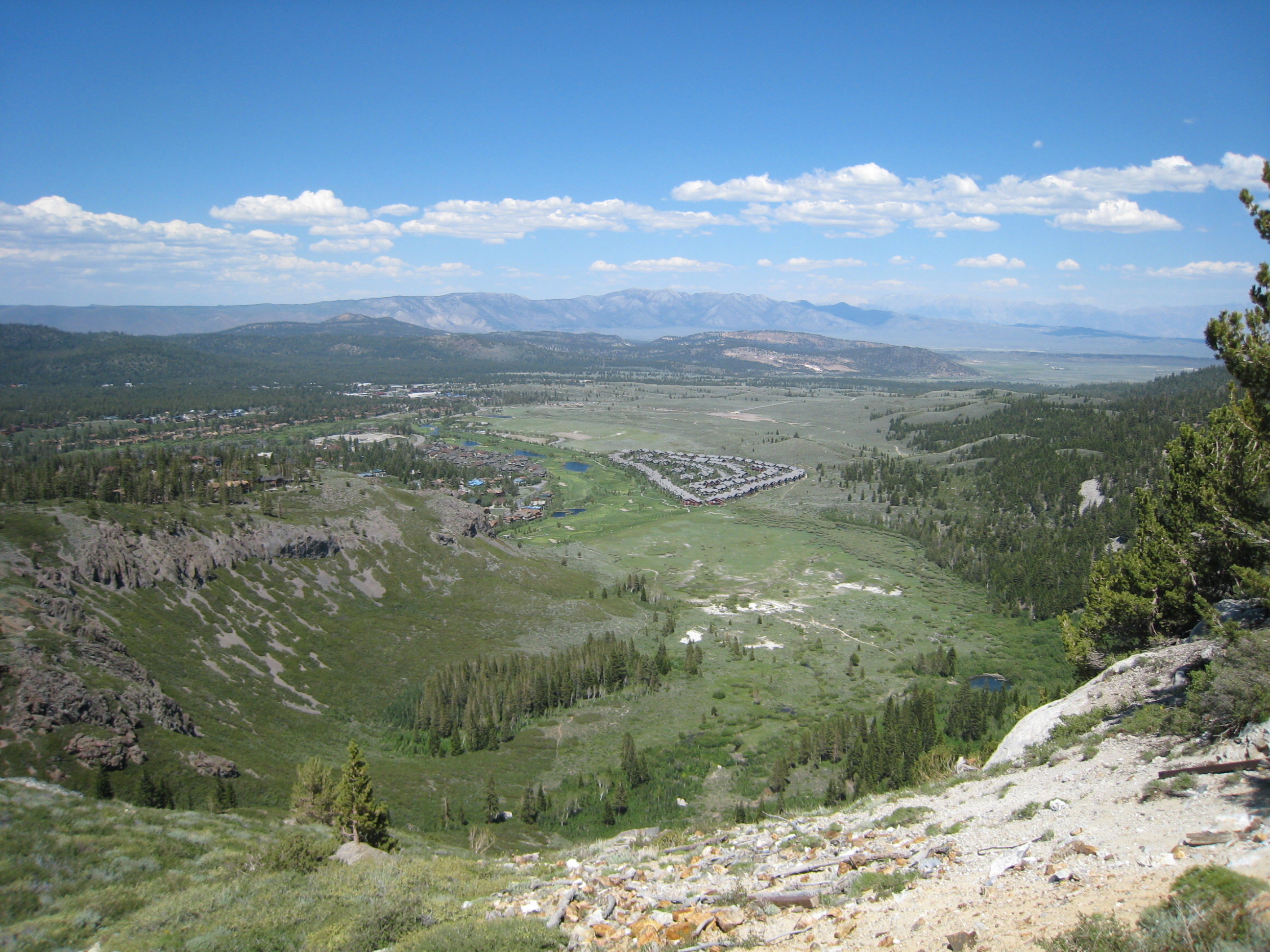 IMG_9559.JPG