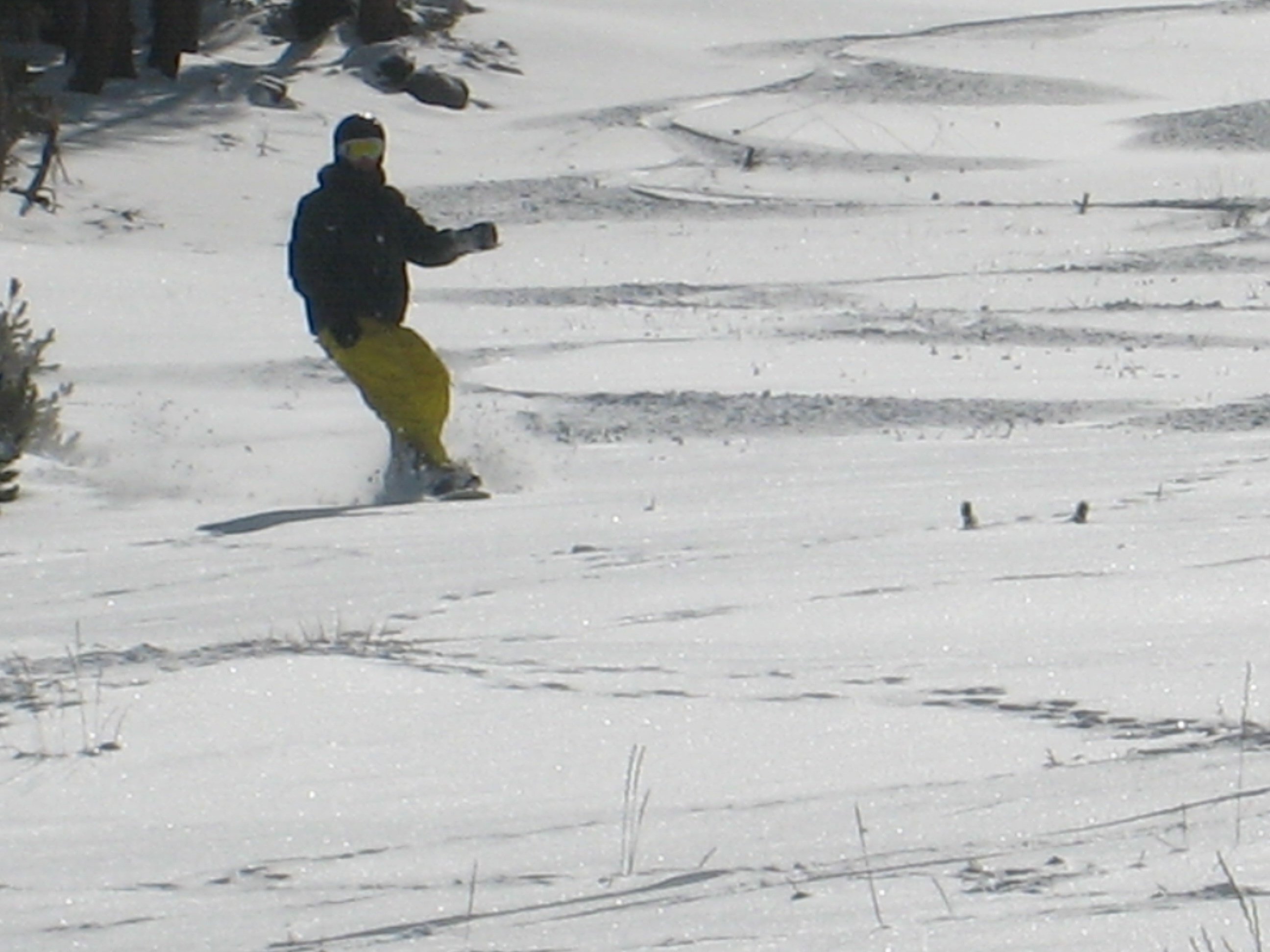 IMG_9895.JPG