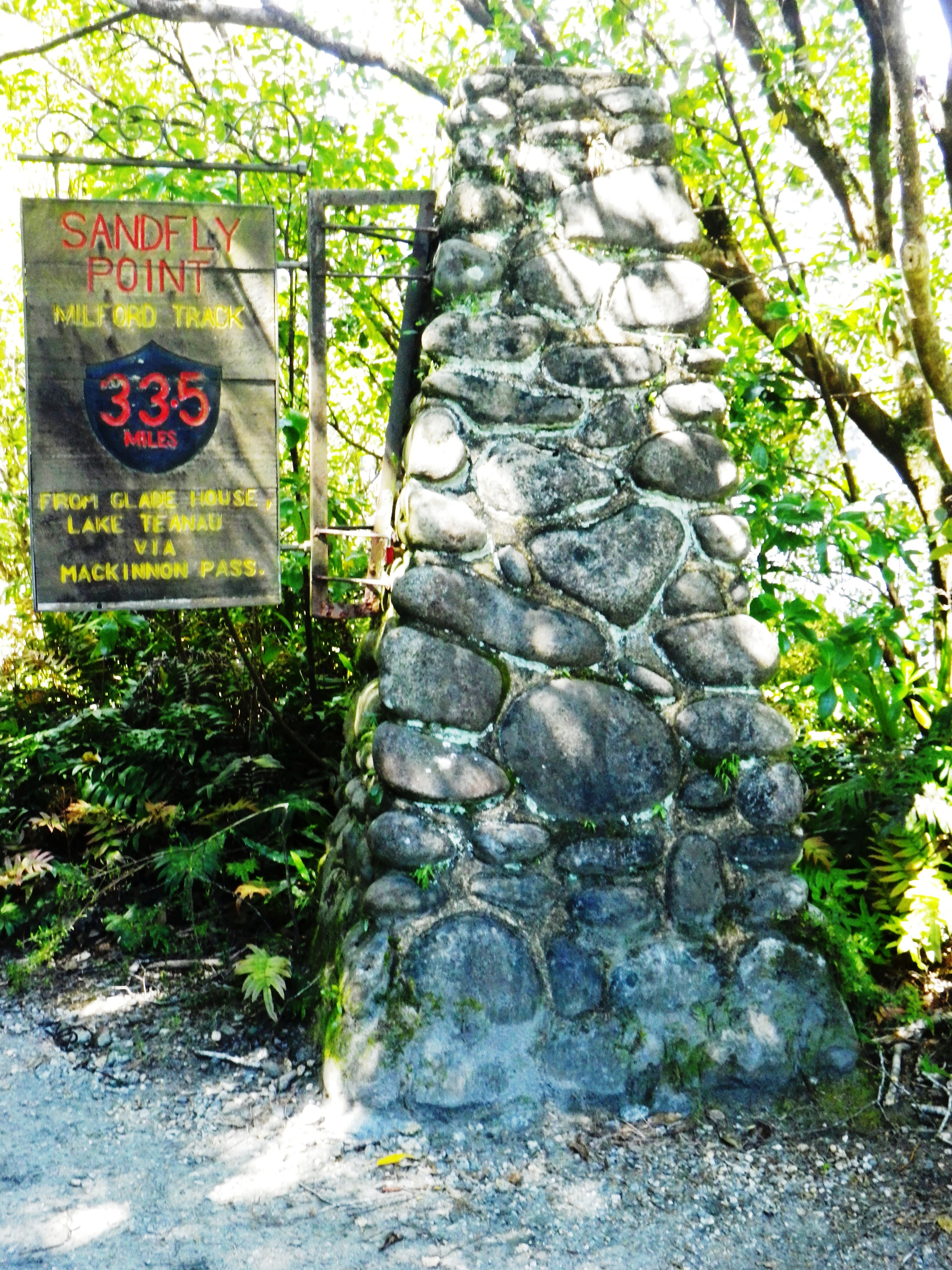 IMGP4281.JPG