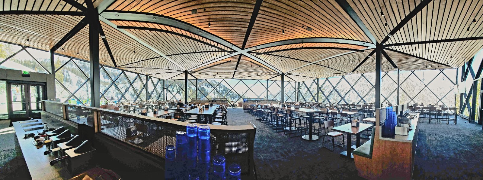 interior nest 9 mar 2026 snowbird.jpg