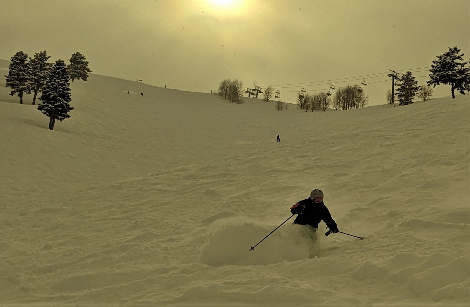 jim bishop bowl 1 march sundance.jpg