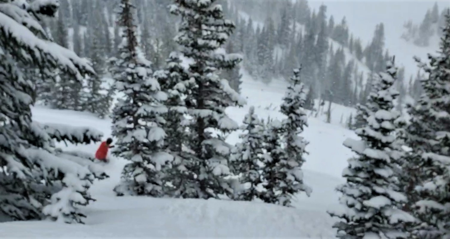 john lower baldy 6 feb snowbird.jpg