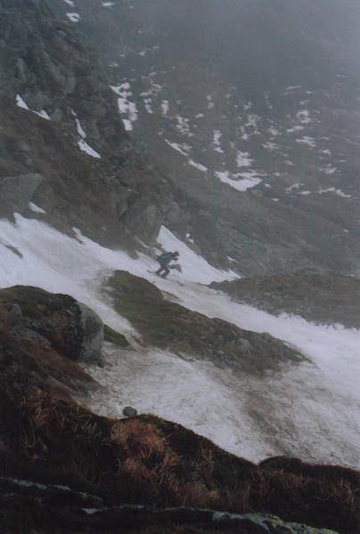 June_wash_08_0009a.jpg