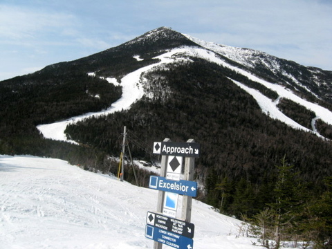 little whiteface.jpg
