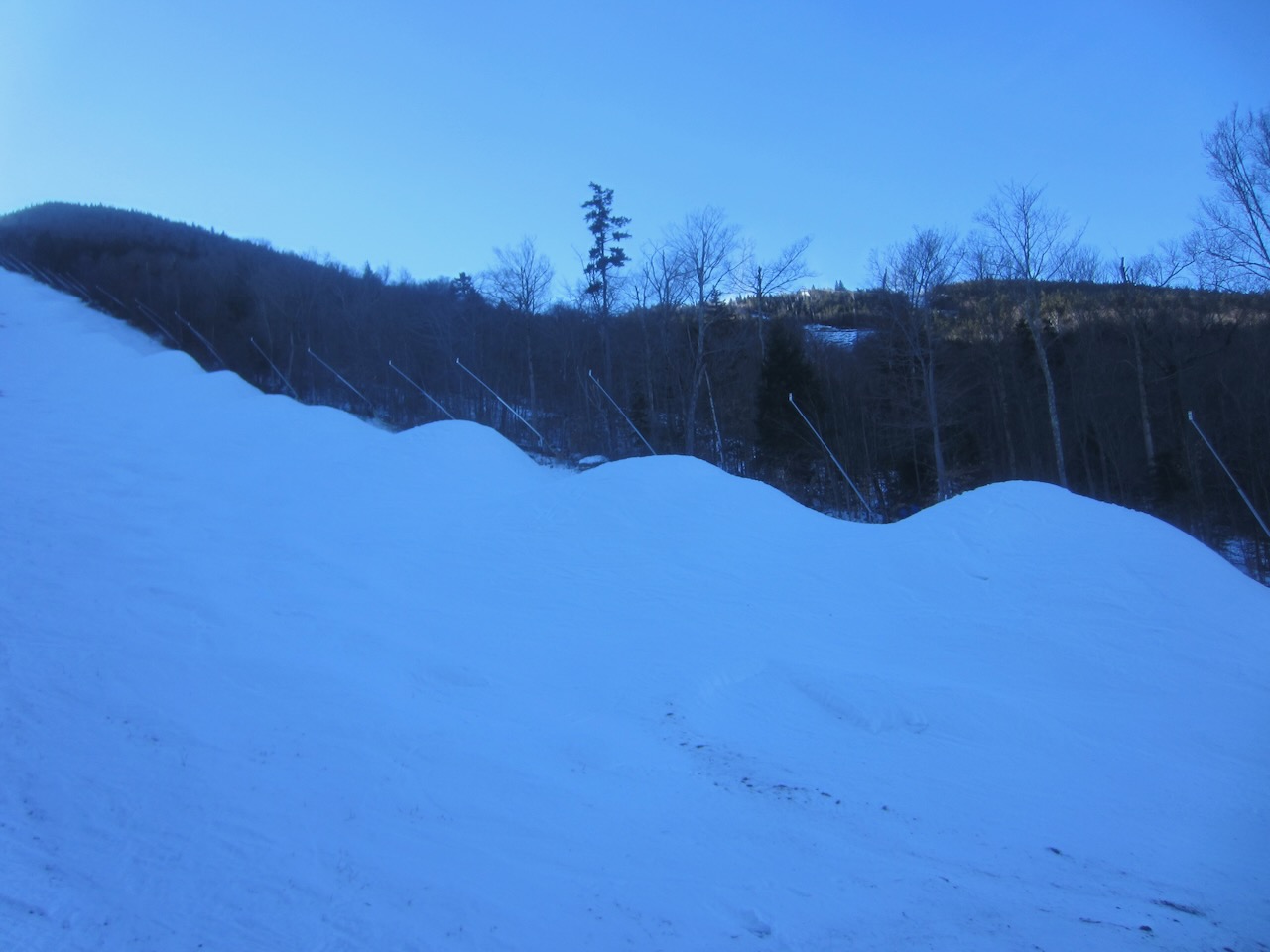 Loon snow whales 02Dec2014 - 1.jpeg