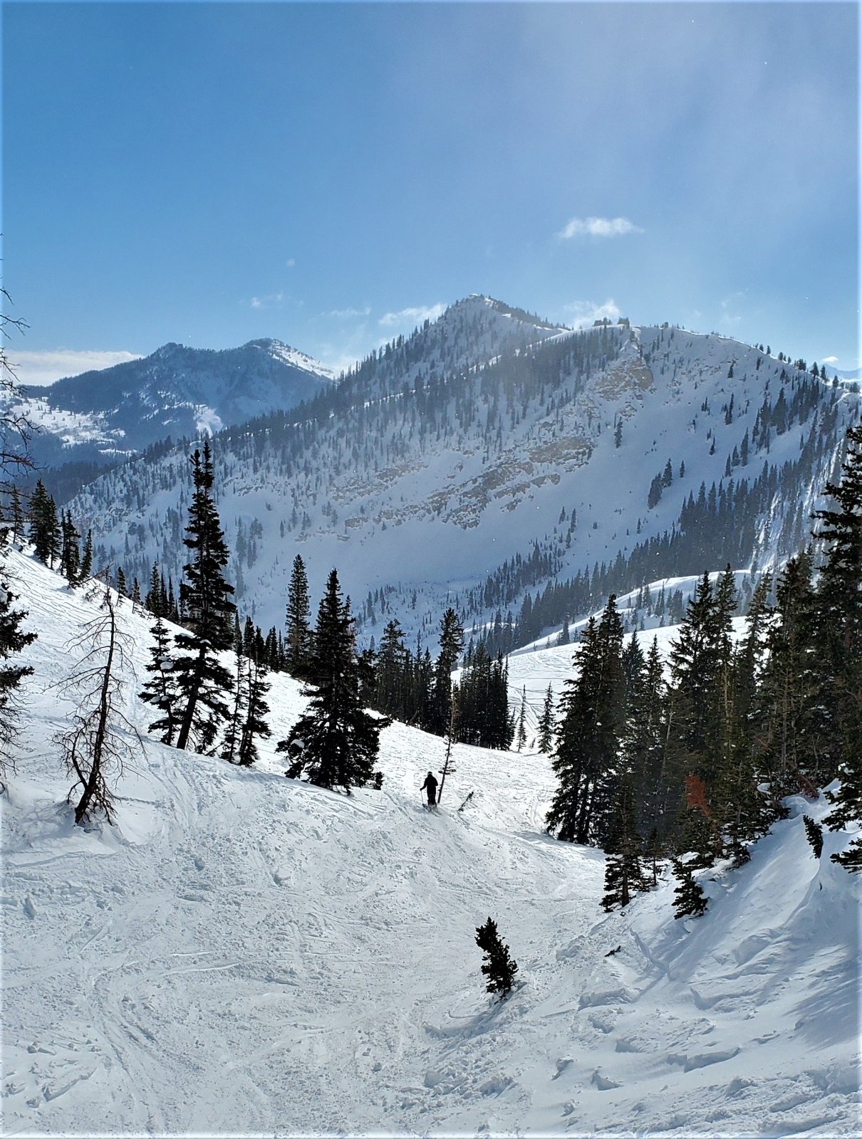 lower ski patrol gully 24 jan 2023.jpg