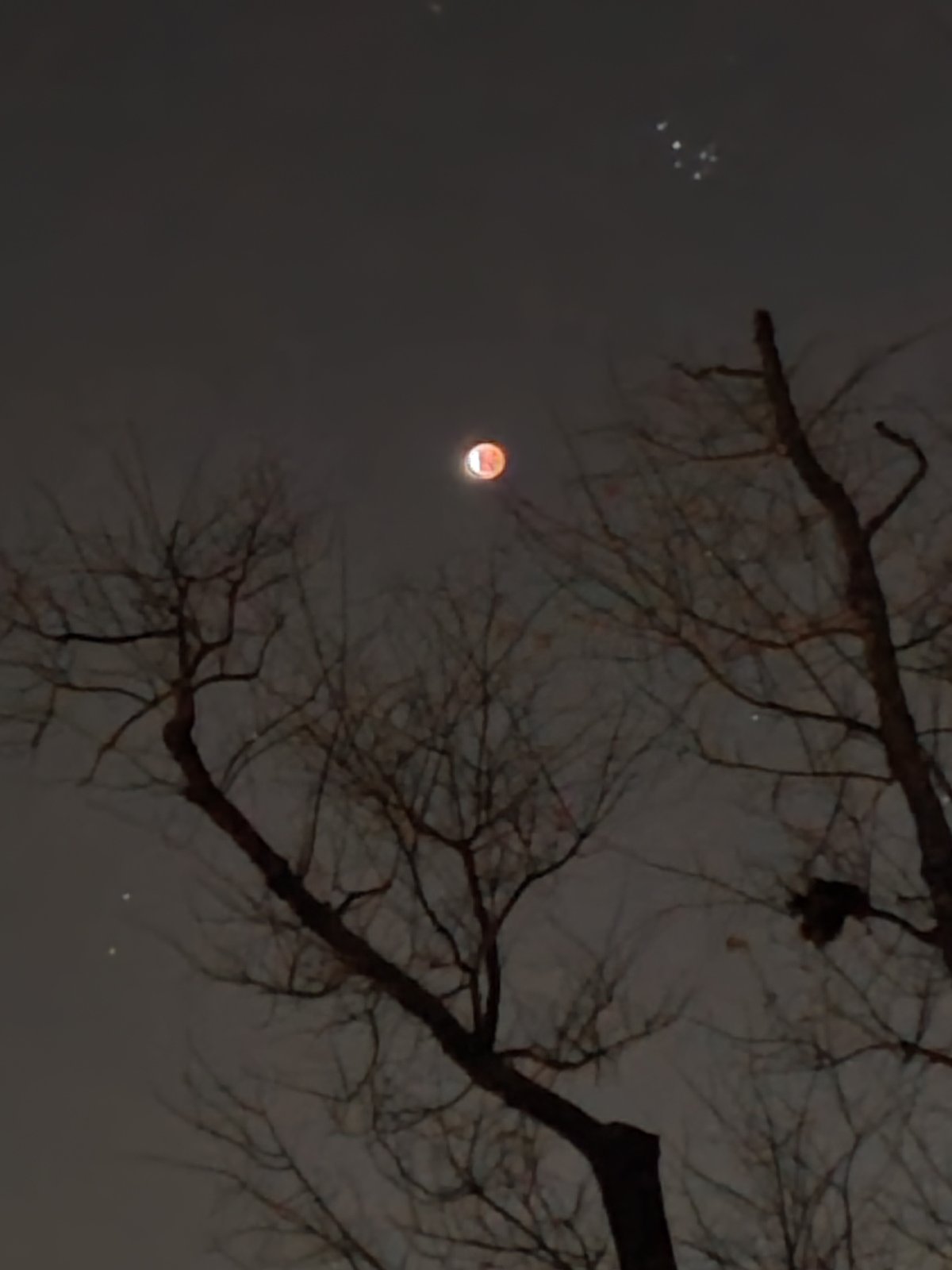 lunar eclipse natural light.jpg