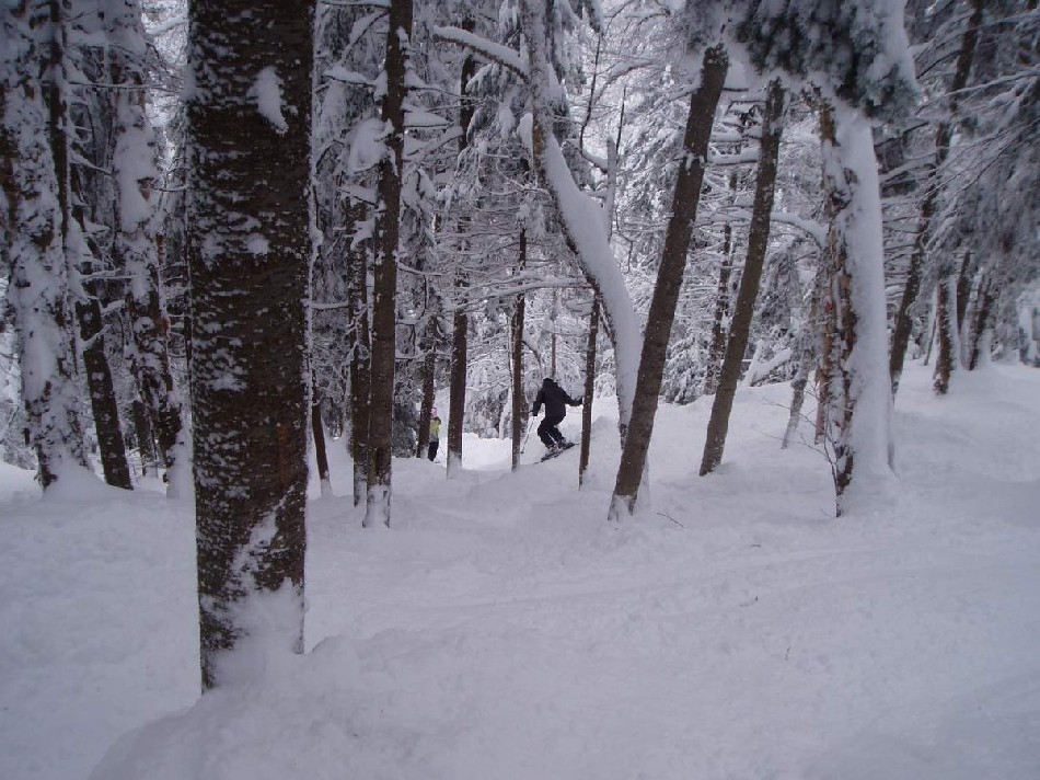 Mark in glades.JPG