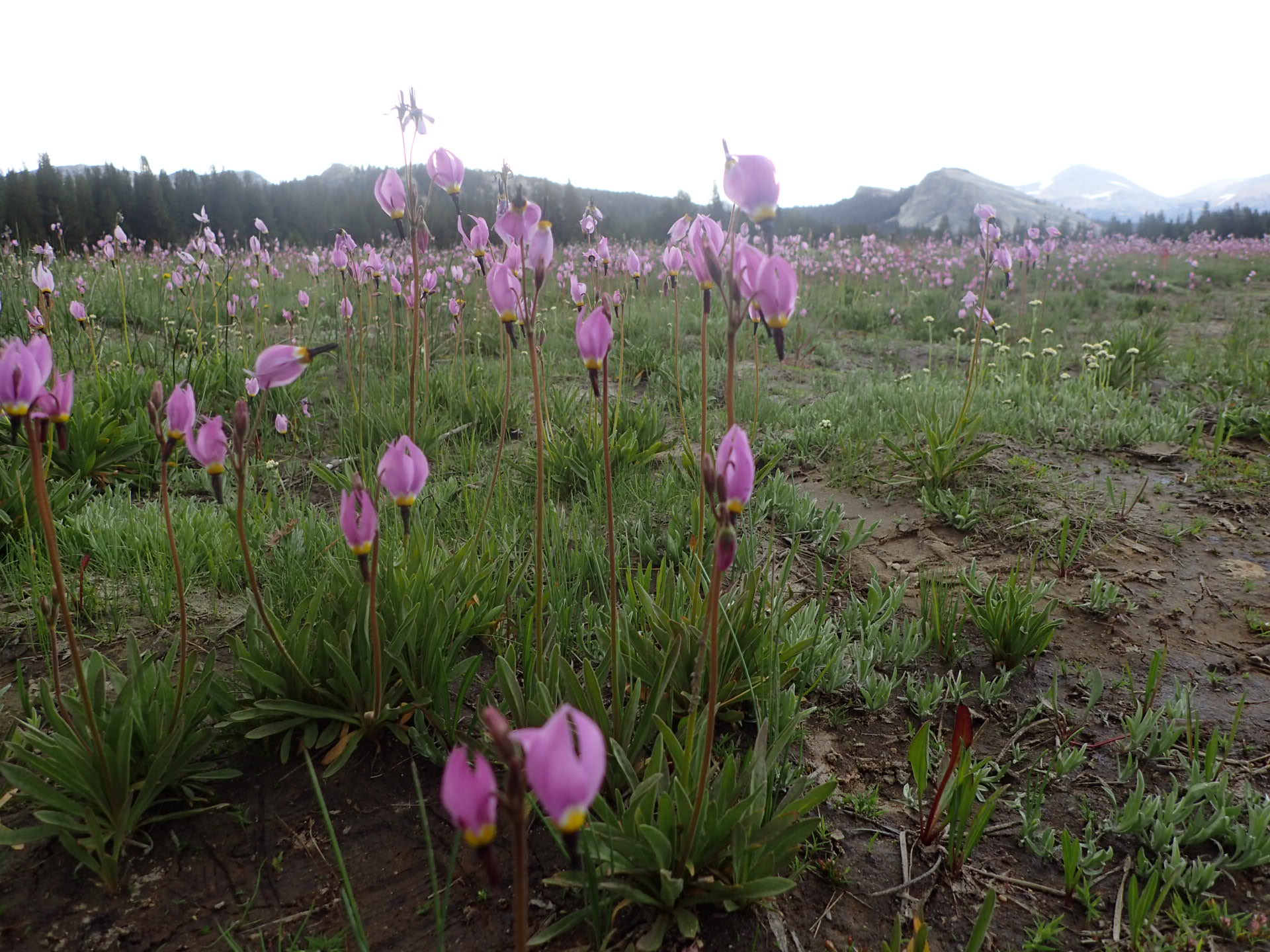 P7301116.JPG