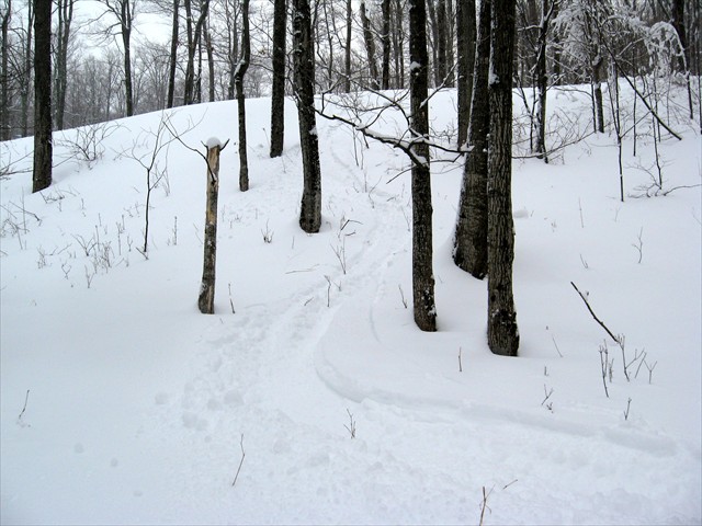 Picture 005.jpg