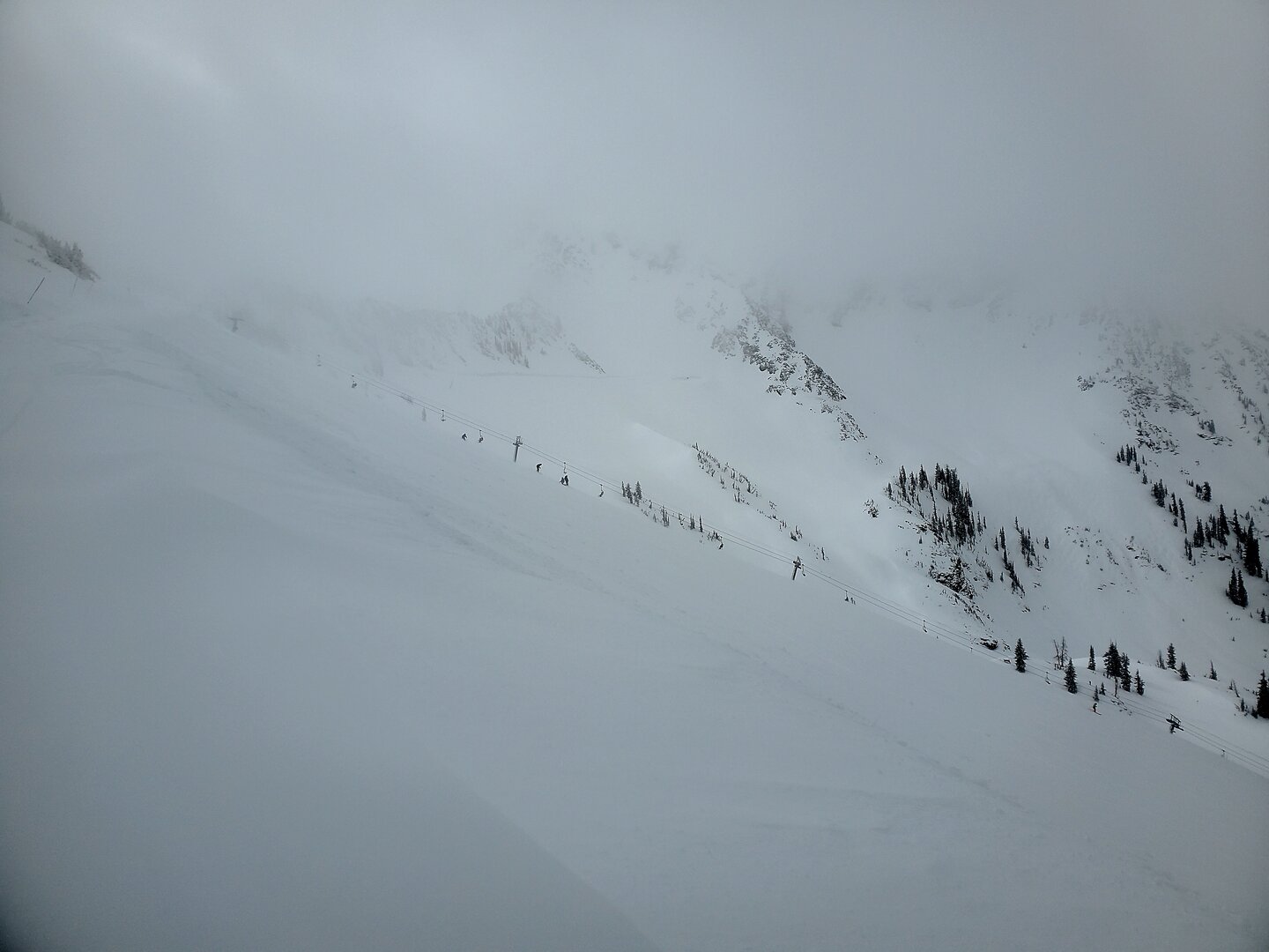 regulator 25 feb 2026 snowbird.jpg
