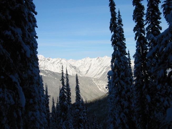 RMR - View from Back 40 Glades compressed.JPG