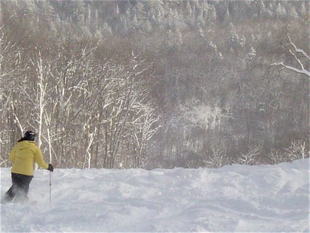 Sagamore2.jpg