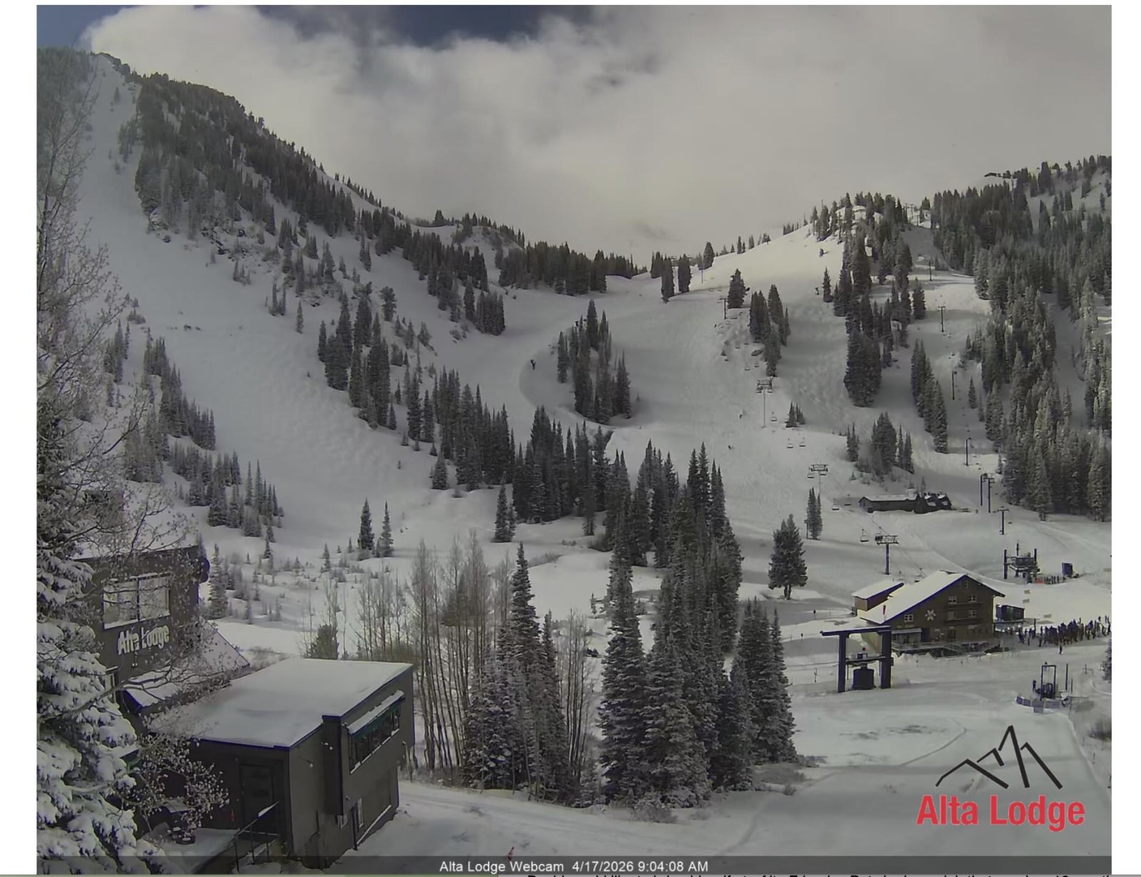 Screenshot 2026-04-17 at 11.11.09 AM.jpg