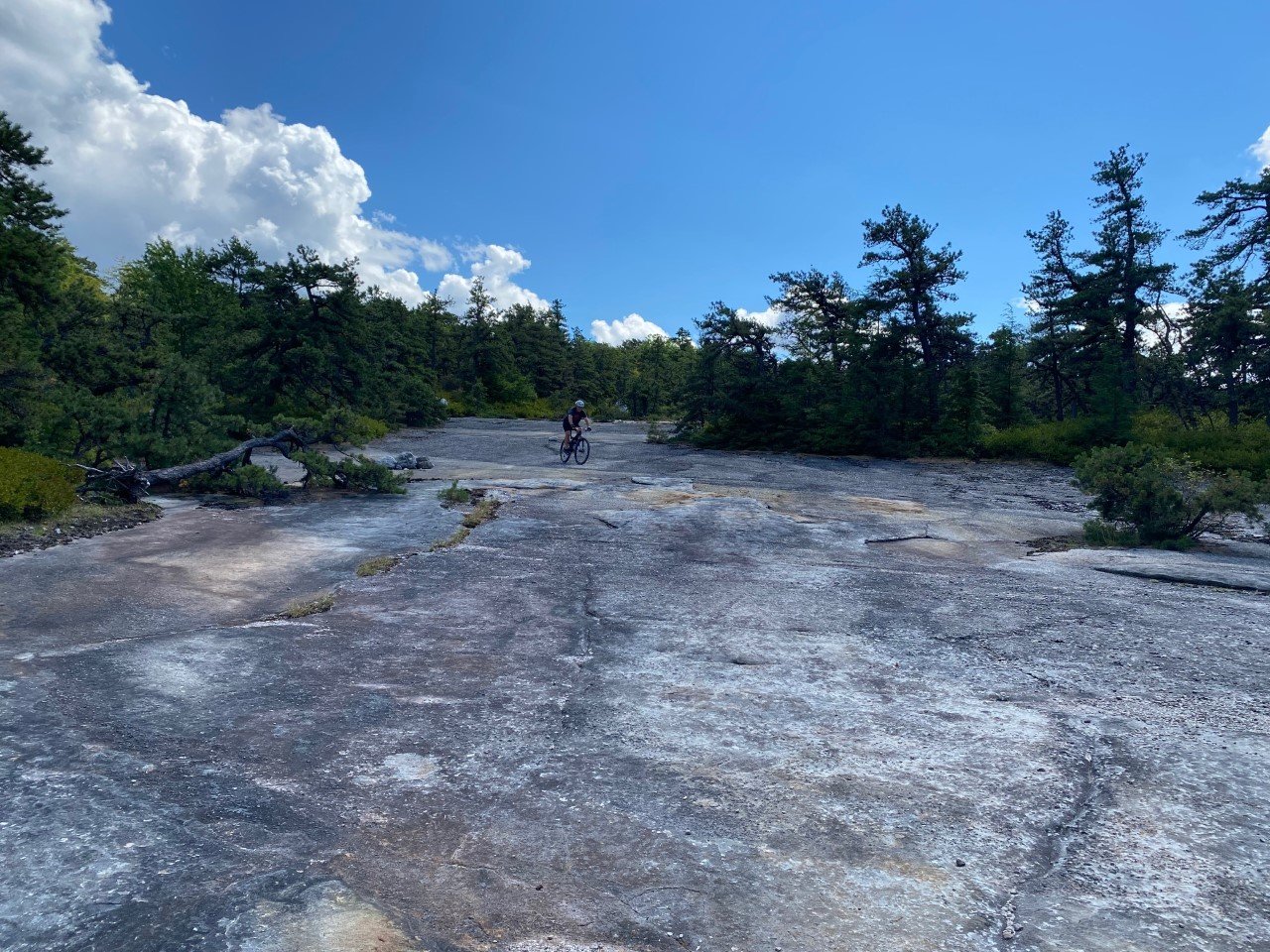 Slick Rock.jpg