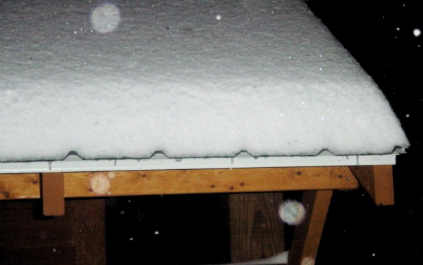 Snow Board.JPG