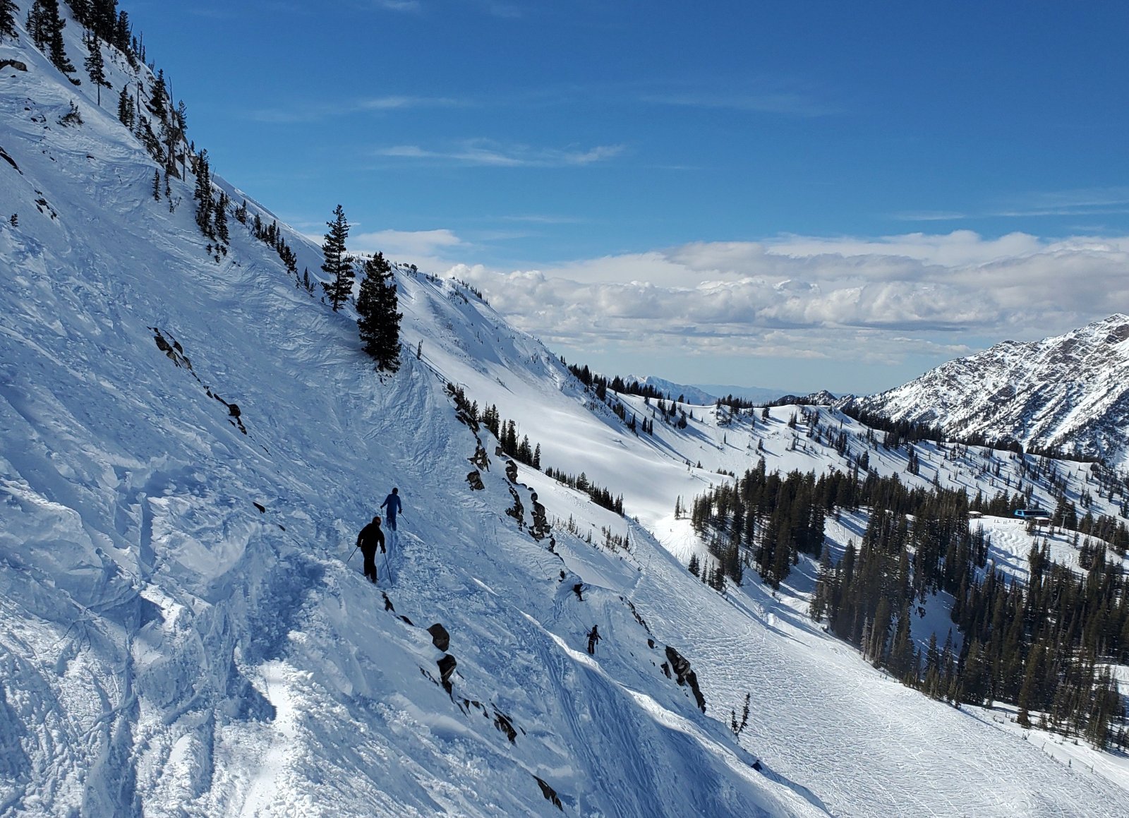 snowbird rasta chutes 9 mar 2026.jpg
