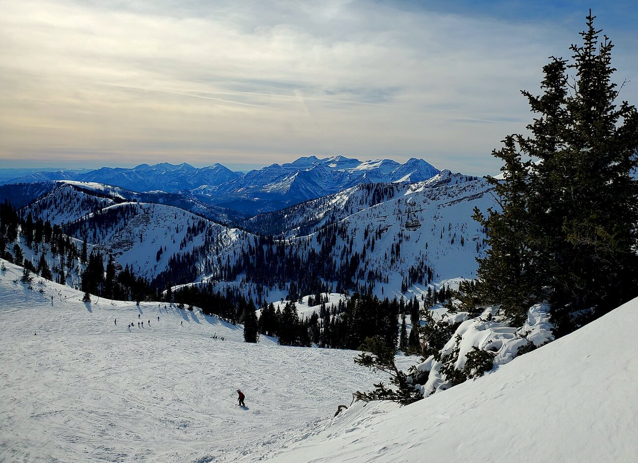 snowbird timp view mineral 11 jan 2026.png
