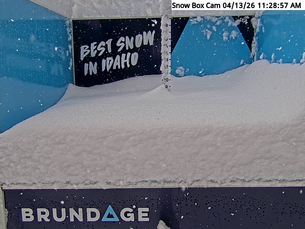 snowcam-2.jpeg
