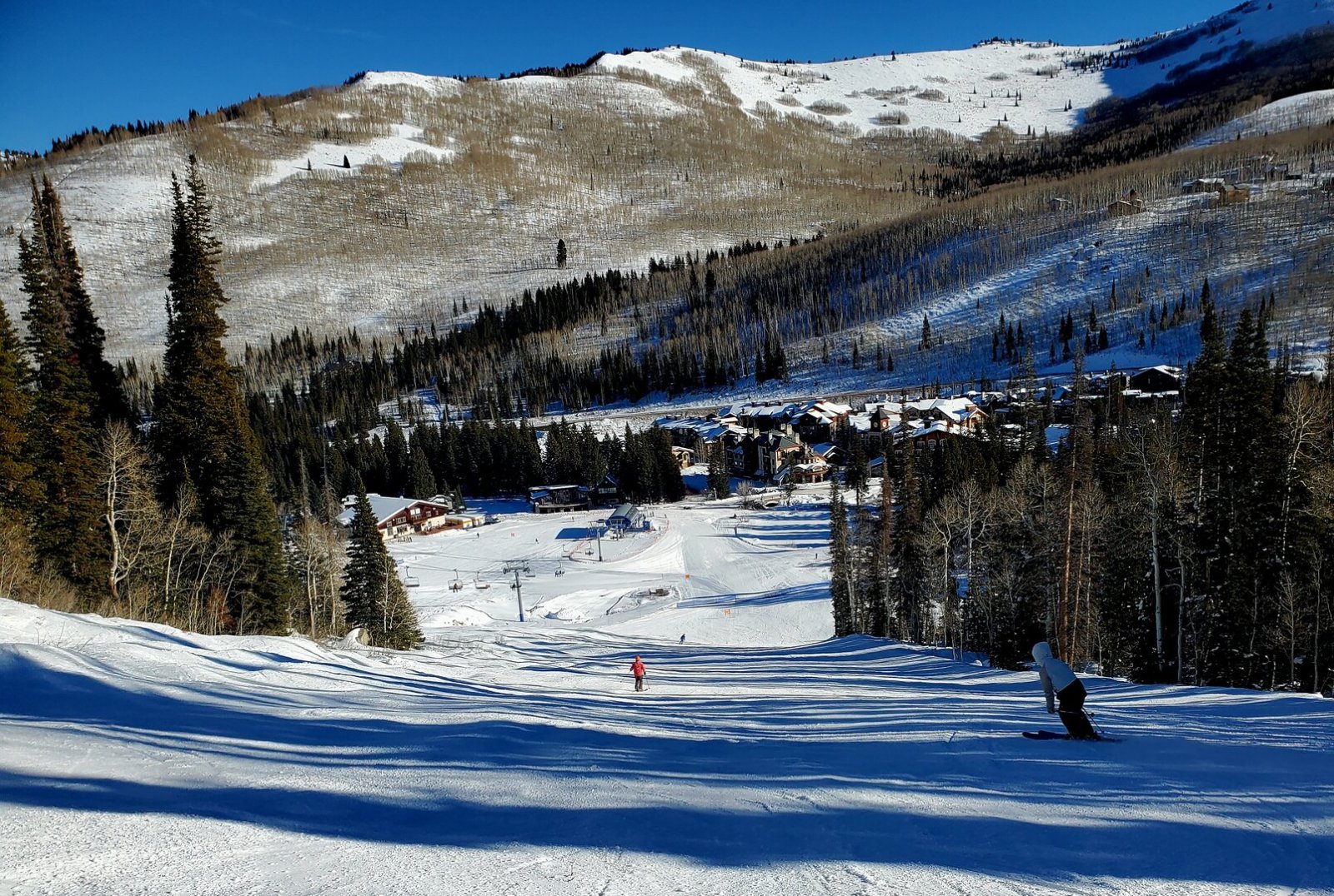 soli village 14 jan 2026.jpg