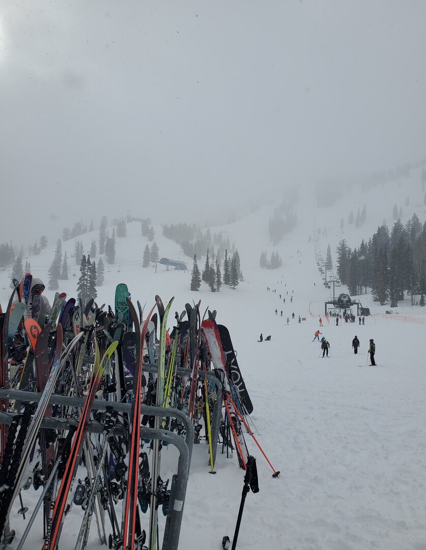 solitude 17 feb 2026.jpg