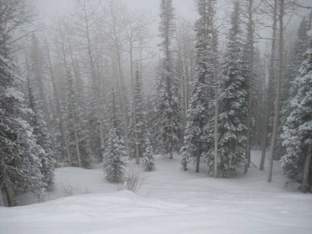 steamboat before.jpg