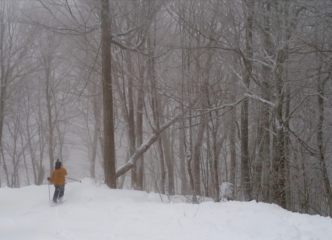 stuart-chute - 1.jpeg