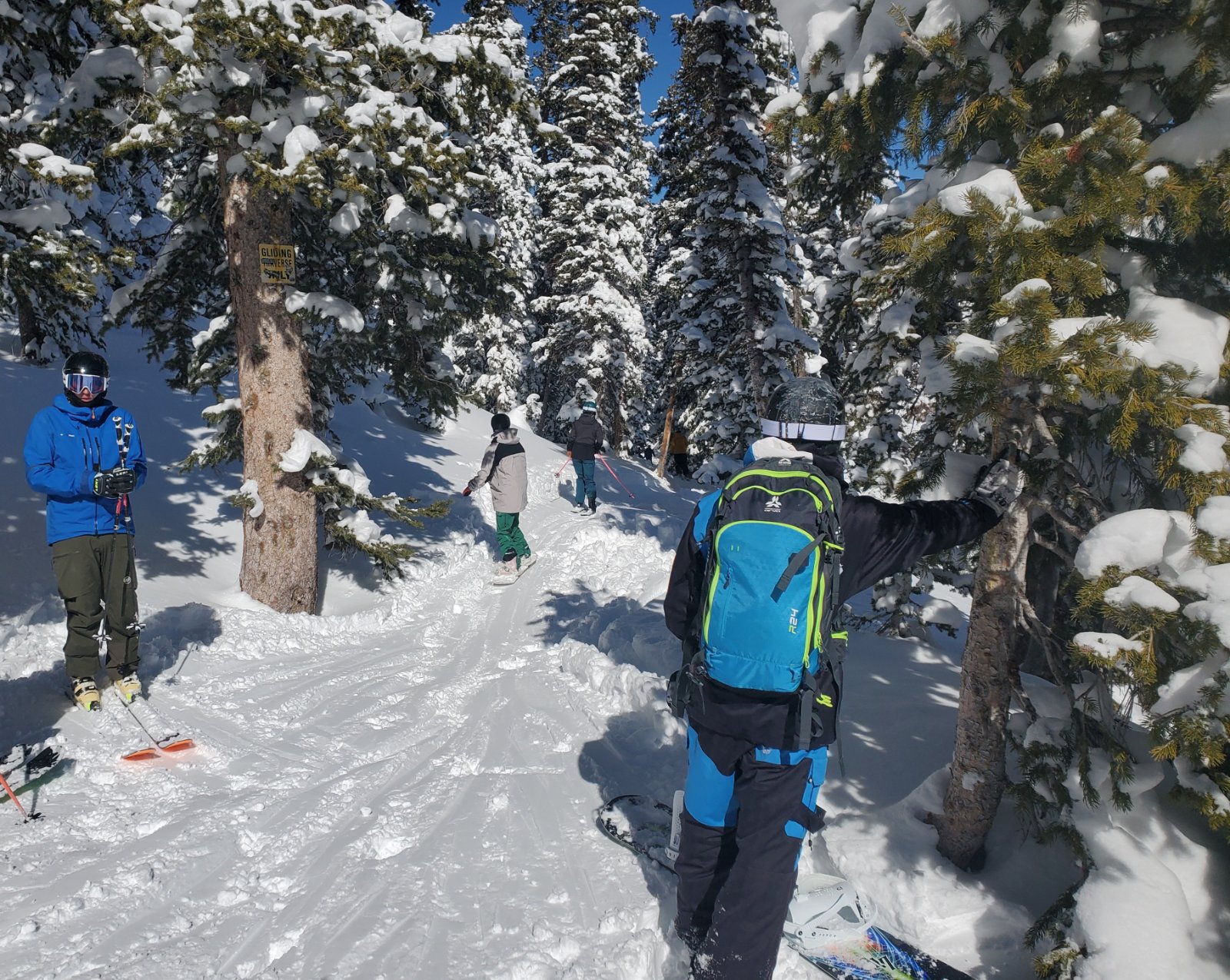 tiger tail entrance 21 feb 2026.jpg