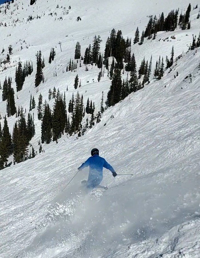 tony rasta spray.jpg