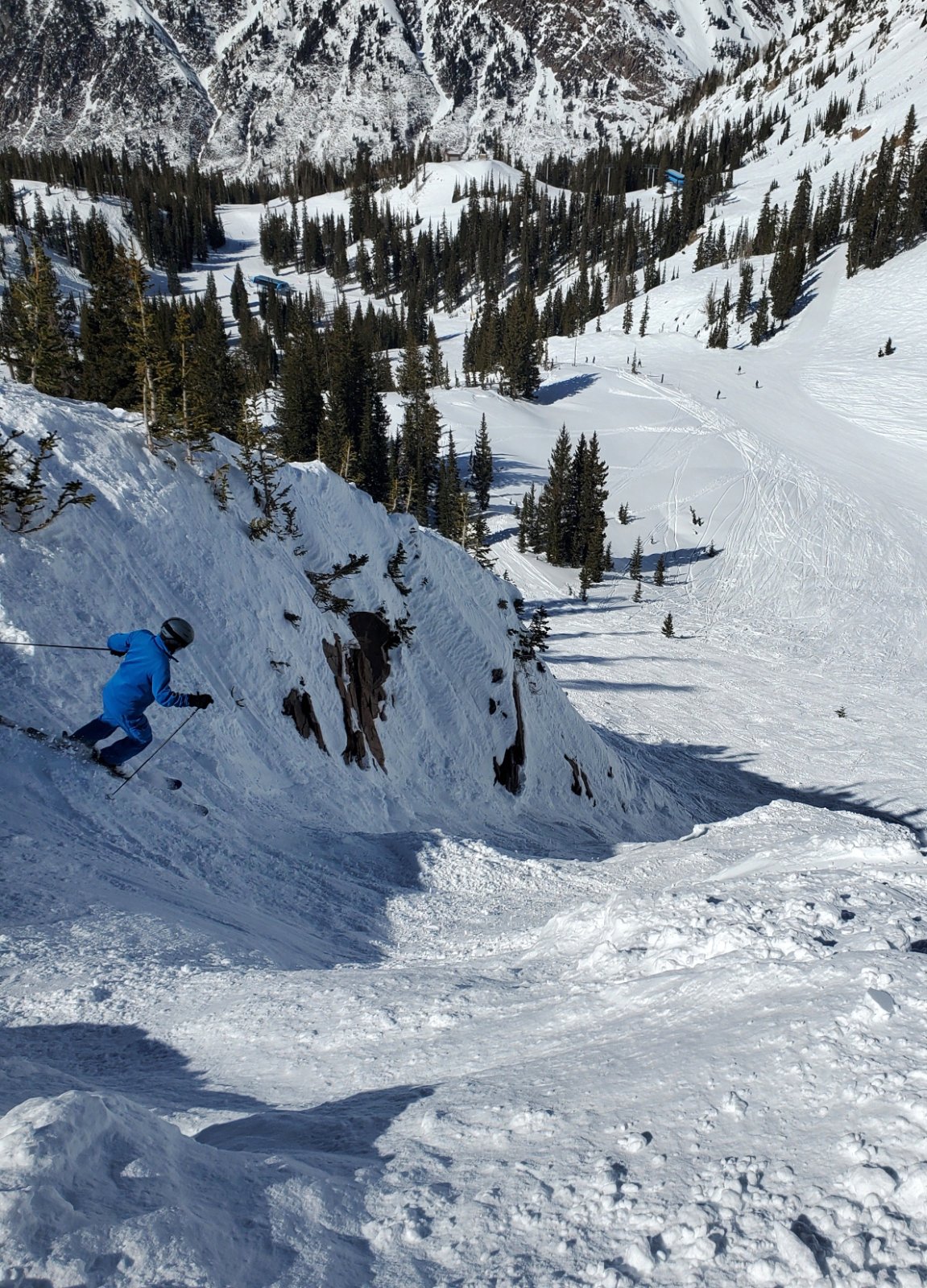 tony tight rasta chute 9 mar 2026.jpg