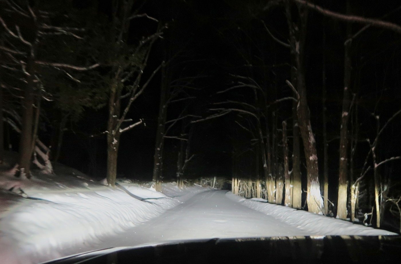 untracked-road - 1.jpeg