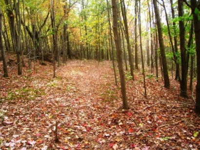 uppertrail.jpg
