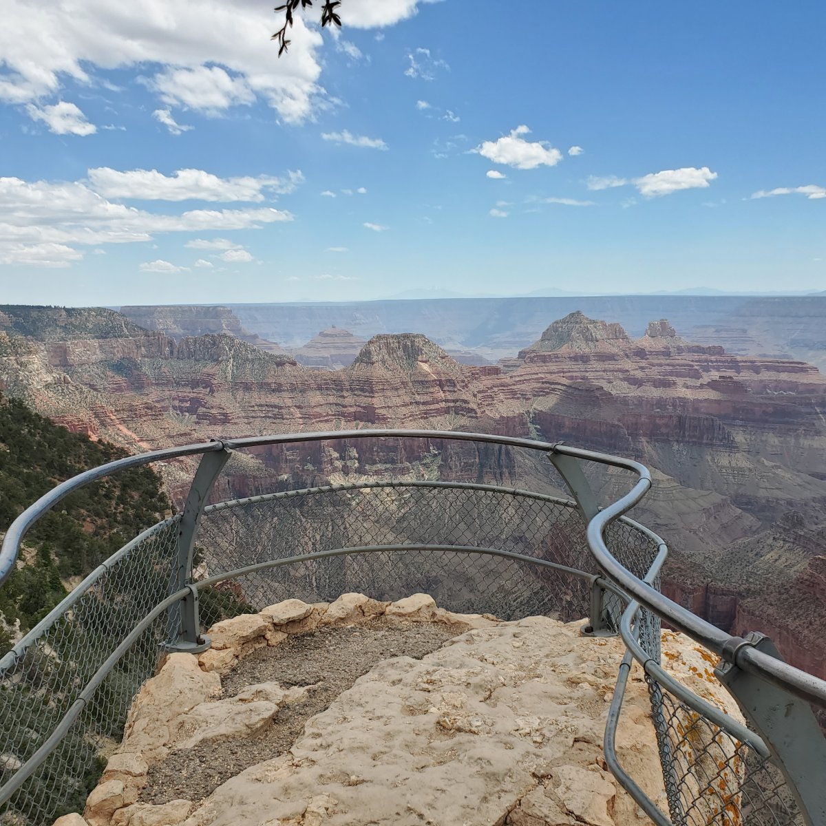 view grand canyon 11 june 2023.jpg