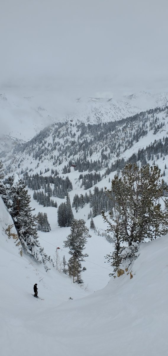 vince elev chute 25 jan.jpg