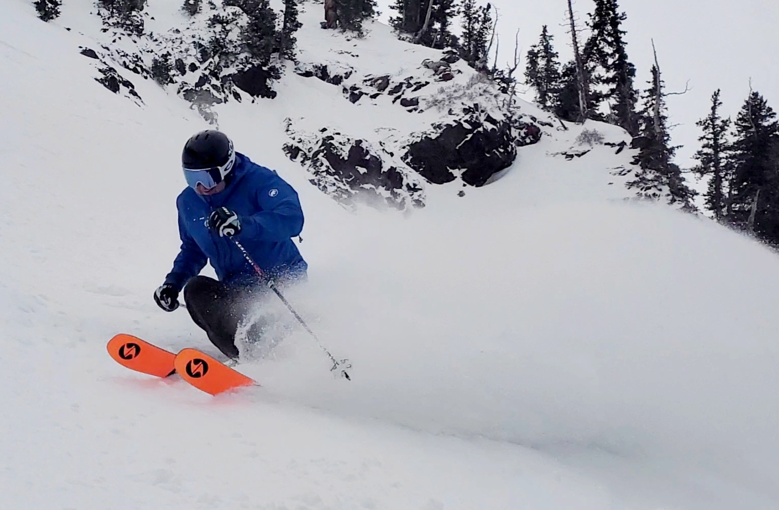 vince hanging bowl snowbird 12 feb 2026.jpg