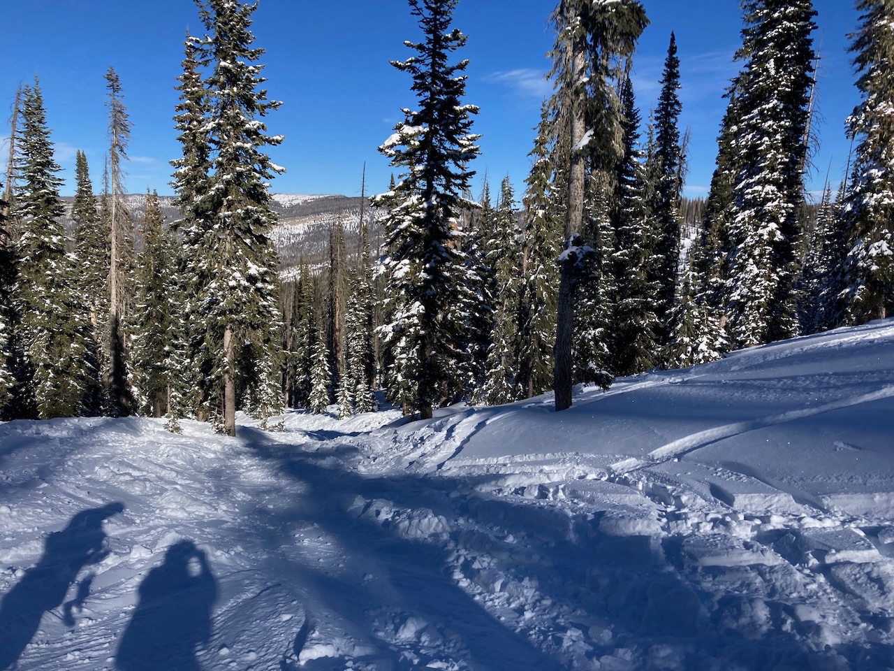 WCSA Dec 2021 - 1.jpeg