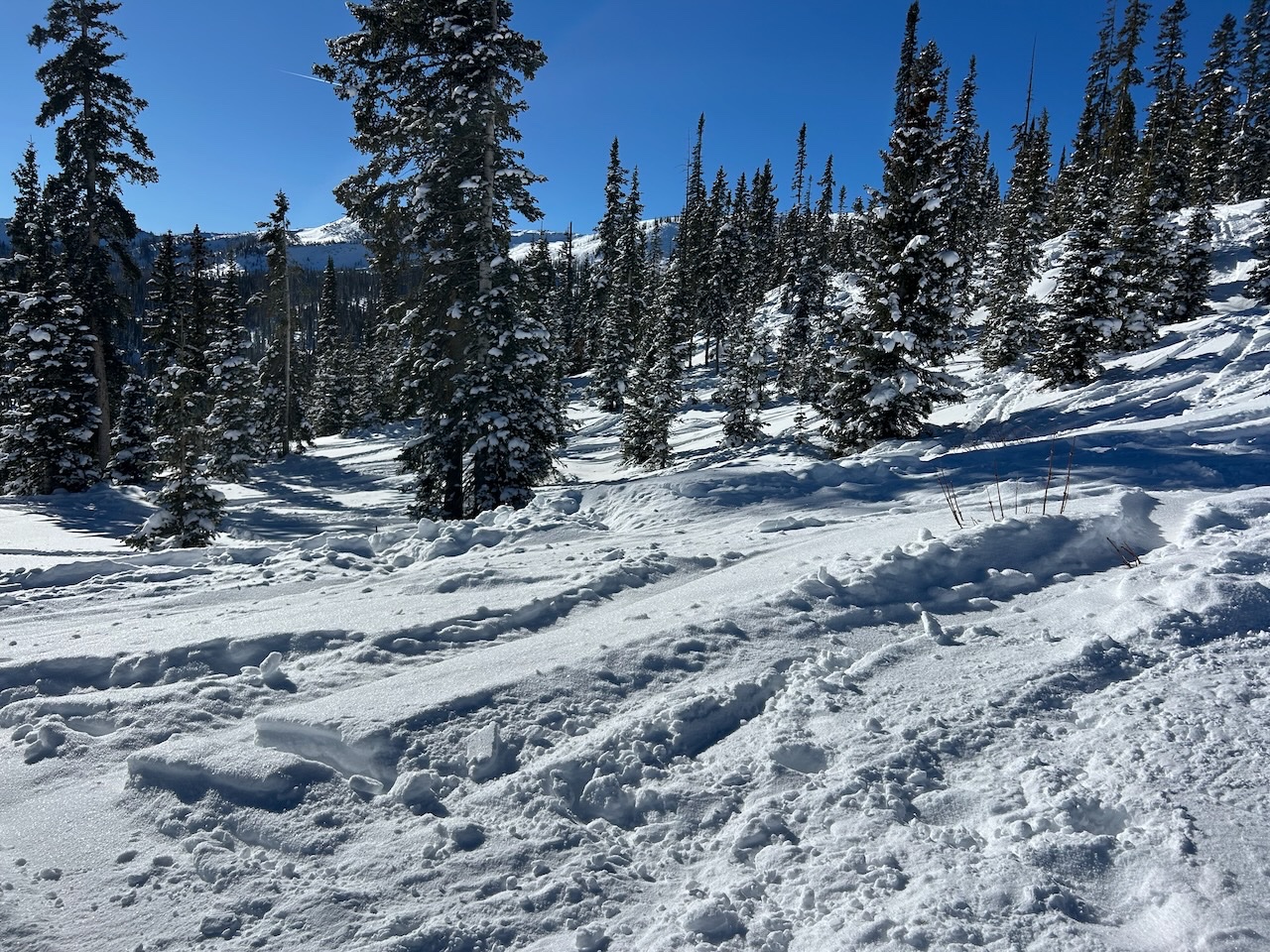 WCSA tracks 07Dec2025 - 2.jpeg