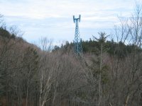 09 - tower above trees.jpg