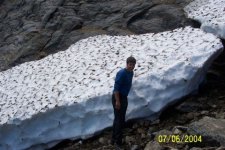 480 Snow in Tucks.jpg